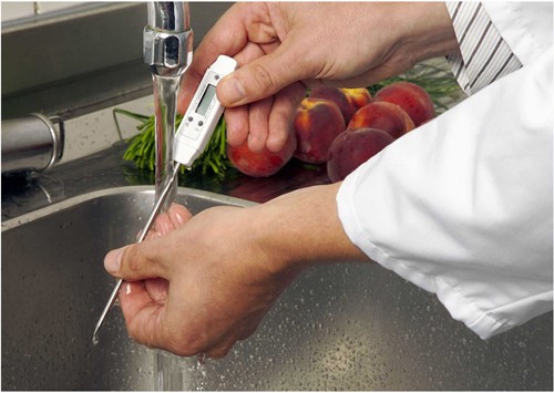 TFA Insteekthermometer digitaal Pocket-Digitemp'' - 125mm - HACCP + EN13485''-3