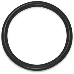 O-Ring TBV ITAP Filter 192 11/4 TBV Y-filter 6319212