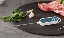 BBQ & Keuken thermometer