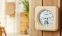 Sauna thermometer