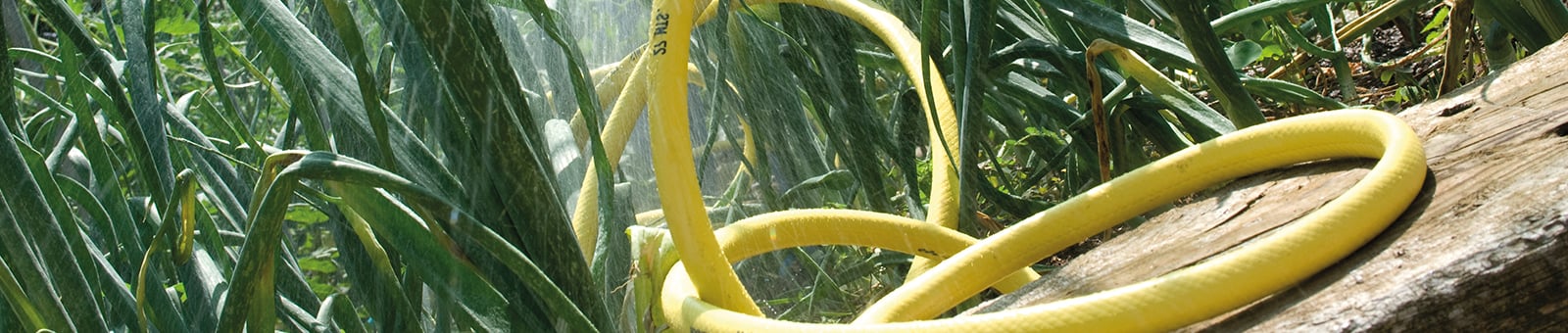 Voorpag - Big Slider 2